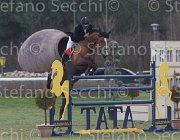 Le June Once TosTour 2013- S5 7795 : Arezzo Equestrian Centre, Le Jeune Philippe, Once de Kreisker, Toscana Tour 2013, foto di Stefano Secchi ©